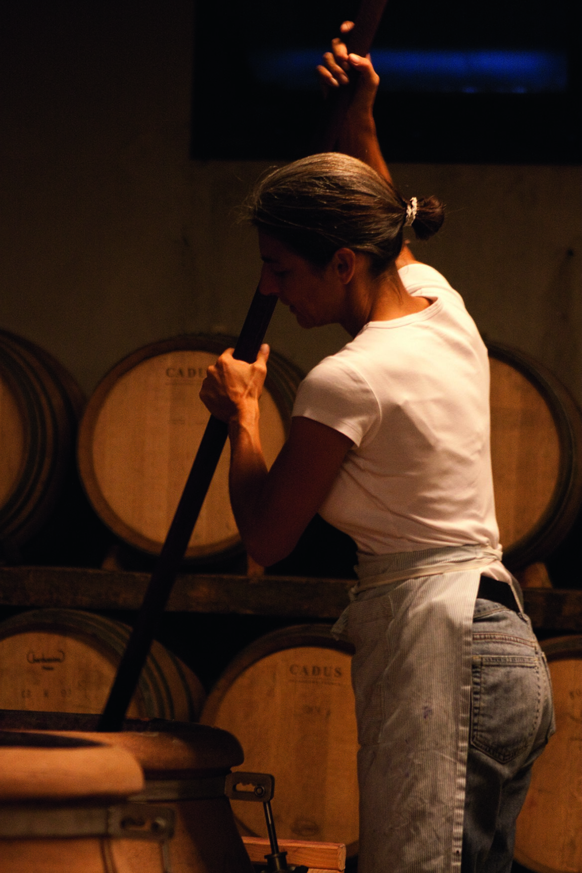 Elisabetta Foradori ist eine international anerkannte Expertin für den Anbau der Teroldego-Traube. Ihr Weingut in Mezzolombardo im Trentin genießt Weltruf. 